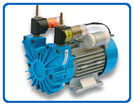 Motor Mounted Oil Free Rotary Vane Vacuum Pumps 